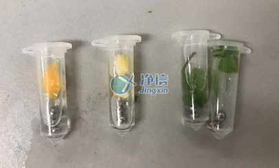 使用組織搗碎勻漿機(jī)對(duì)果皮和葉片研磨實(shí)驗(yàn)過程中需要注意那些問題？